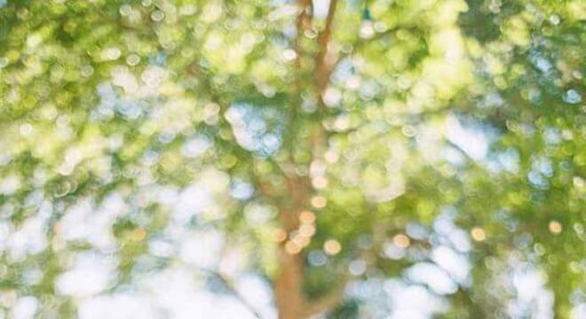 cadeiras decoradas com plaquinhas para festa de casamento ao ar livre 