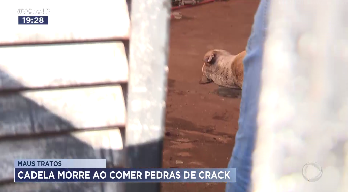 Natal e aniversário: decoração e shows nas festas de Sertãozinho - RecordTV  Interior SP - R7 SP Record