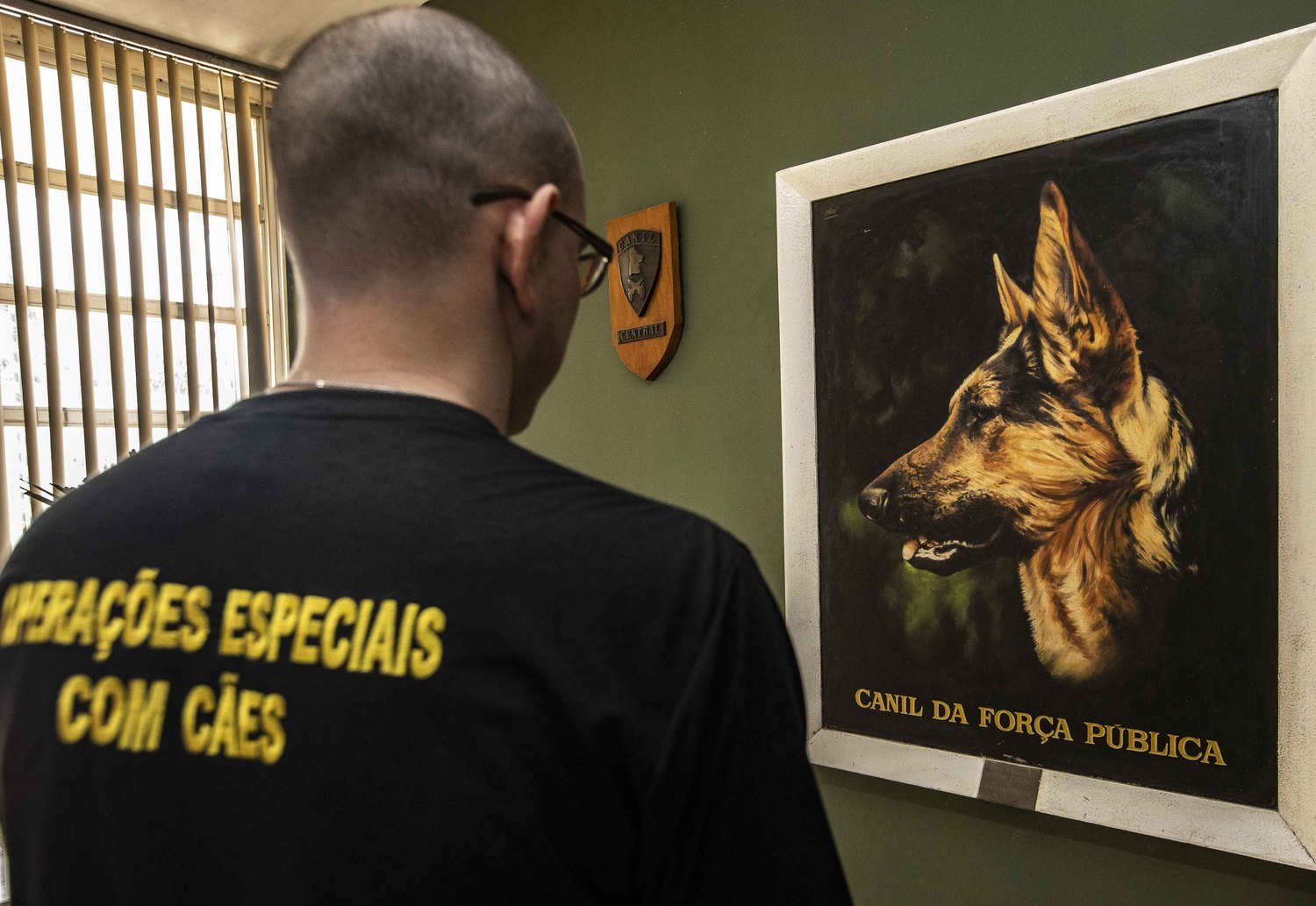 
 O Canil Central conta com cerca de 40 cães e 114 policiais (Edu Garcia/R7)