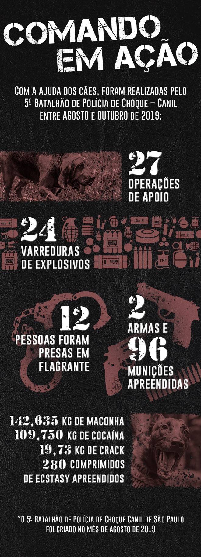 https://img.r7.com/images/caes-herois-infografico-numeros-27112019144141236