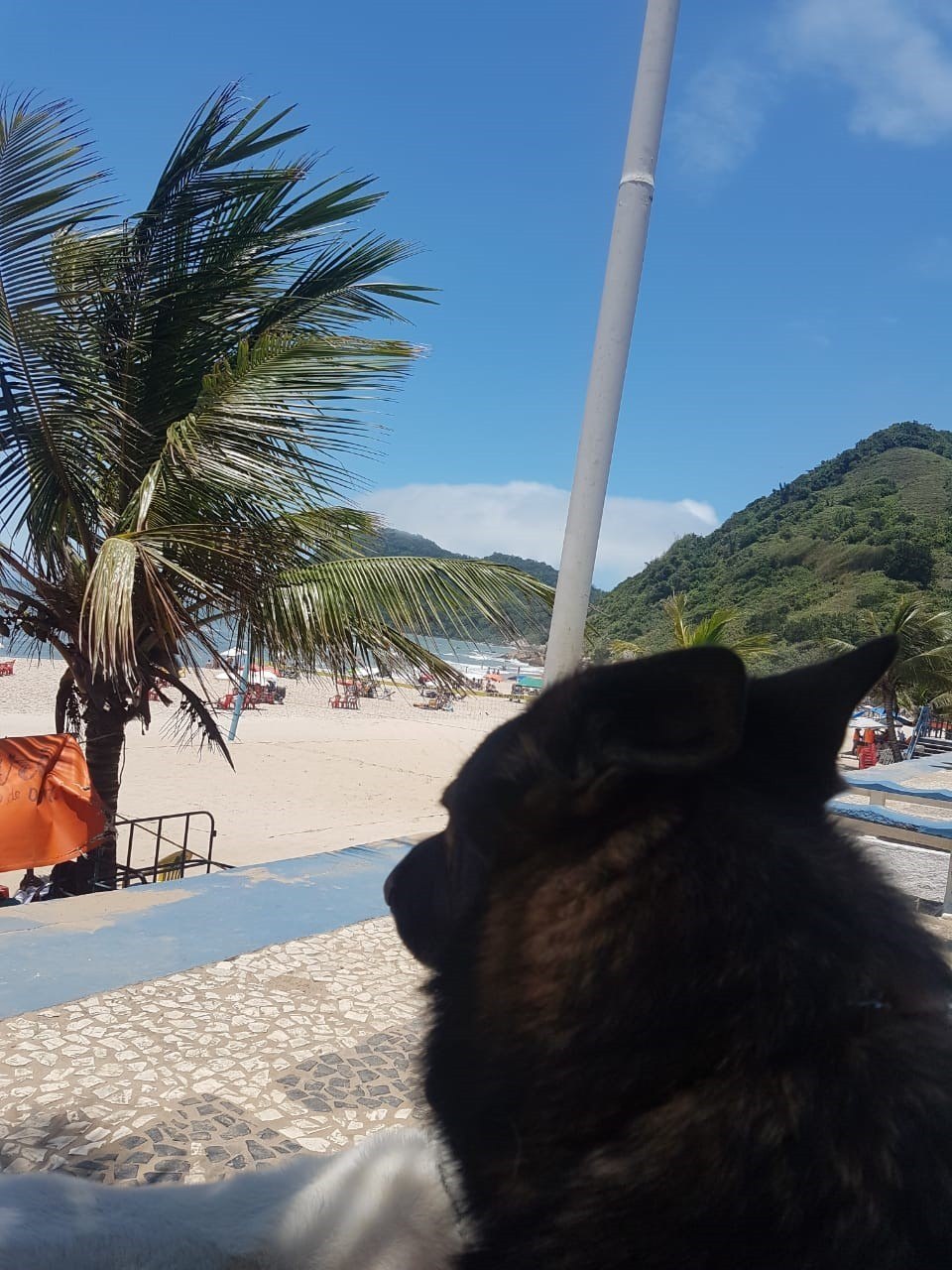 Noute desfruta sua aposentadoria e conhece a praia (Divulgação)