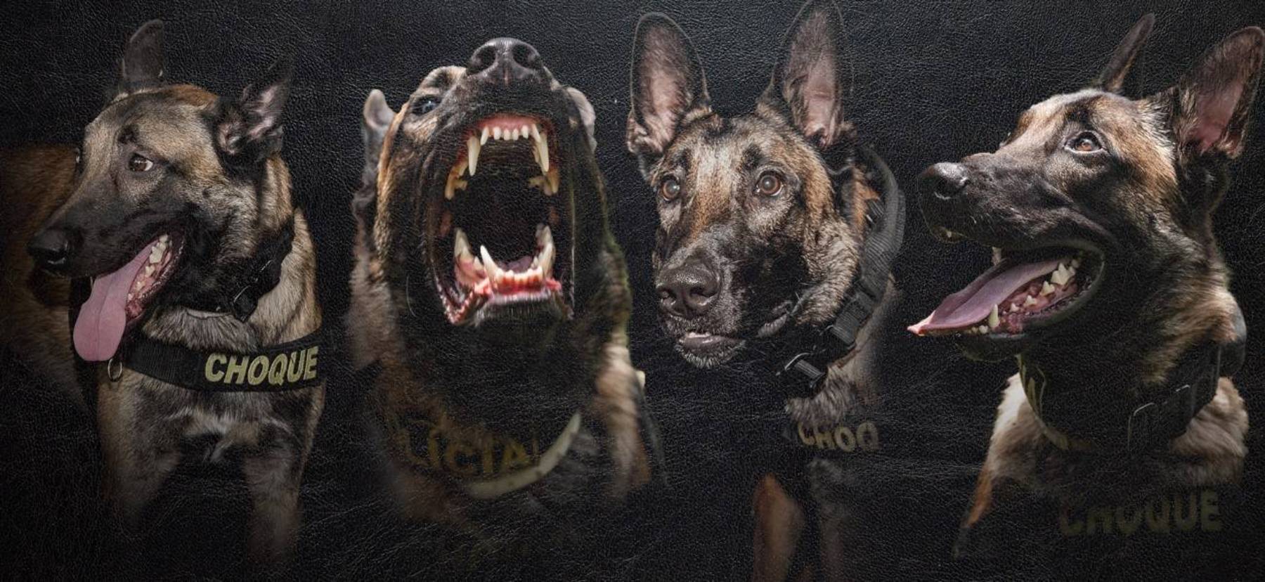 A tropa só pode encarar uma missão após ser considerada 100% treinada (Arte R7)