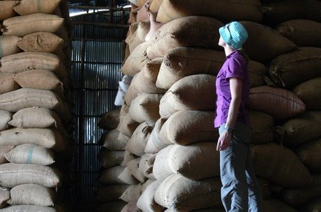 O café arábica é o mais consumido do planeta
