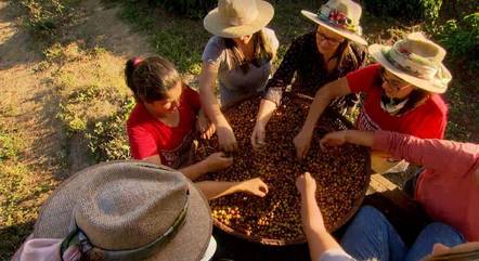 Produtoras de café falam sobre a lida no campo
