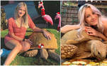 Caitlin Doran compartilha a rotina de sua tartaruga,  Tiptoe, para milhões de seguidores