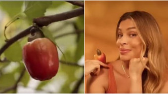 Cashews on a blackberry tree in a commercial with Grazi Massafera become a joke on the web: “Hung with chestnuts” – Viva a Vida