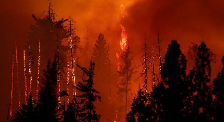 Floresta em chamas, neste domingo (24), no estado da Califórnia