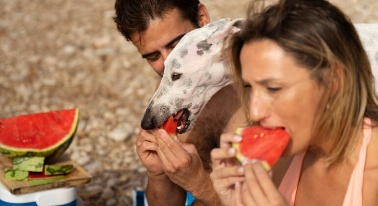 6. Evite alimentos pesados e gordurososA melhor opção para os dias de calor extremo também é a alimentação mais leve. Evite alimentos pesados e gordurosos e opte por verduras, legumes e, principalmente, frutas ricas em água, como melancia e laranja. 