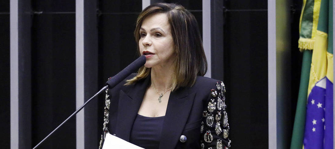 Comissão aprova relatório do Orçamento de 2024 com previsão de R$ 5,4 trilhões em receitas  (Najara Araujo/Câmara dos Deputados - 21.07.2020)