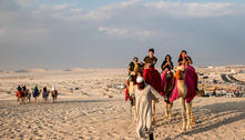 Camelos do Catar chegam a trabalhar 20 horas por dia e sofrem com o excesso de turistas