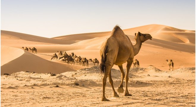  A areia encontrada nos desertos não tem a composição apropriada para se misturar com água e cimento para se tornar concreto