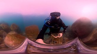 Câmera 360º exibe fundo do mar do litoral paranaense (Reprodução/Tudo já Existe)
