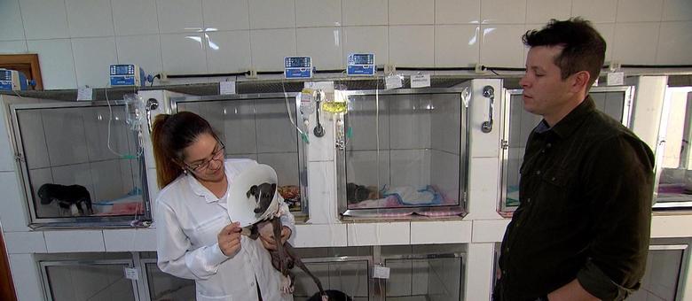 Veterinária conta que leva a filha ao trabalho para não interromper os atendimentos 