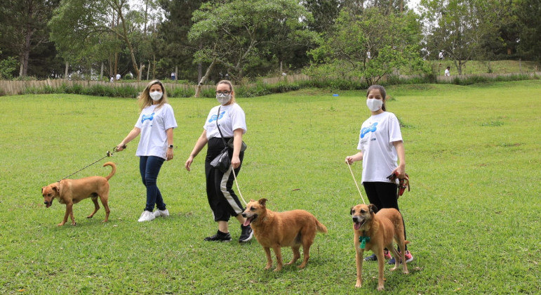 Voluntários passearam com cães que vivem em abrigo, em Itapecerica da Serra (SP)