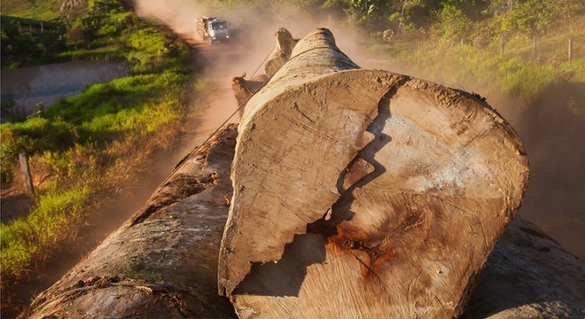 Chefe da Embrapa diz que Brasil é líder em preservação ambiental