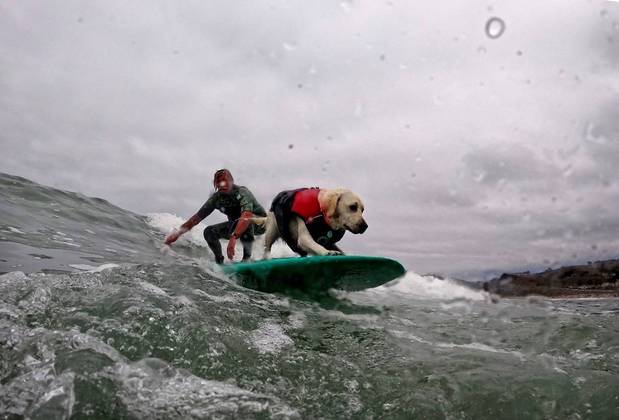 Rosie competes at the World Dog Surfing Championships in Pacifica, California