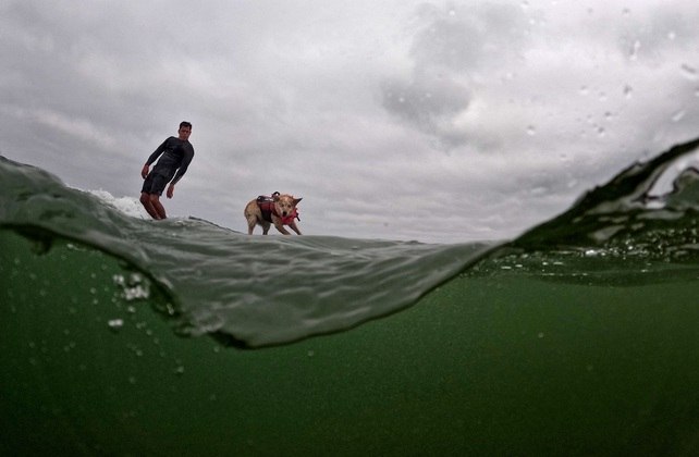 Skyler and her handler compete at the World Dog Surfing Championships in Pacifica, 