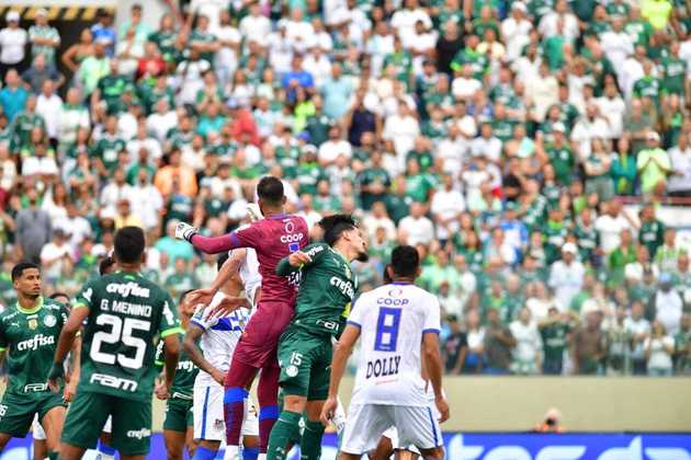 Paulista Soccer Championship Final Palmeiras Agua Santa Palmeiras  Celebrates Title – Stock Editorial Photo © thenews2.com #650484324