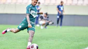 Lesionado, Dudu é peça fundamental no elenco de Abel Ferreira; veja números