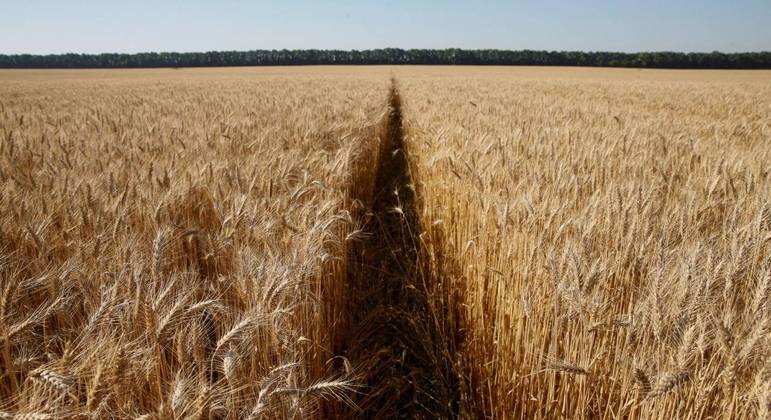 Rússia e Ucrânia juntas são responsáveis por quase um terço do abastecimento mundial de trigo