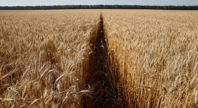 Ucrânia caminhava antes da guerra para ser a terceira maior exportadora de trigo do mundo