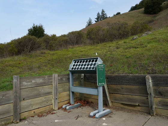 A extensa restauração do local em Santa Bárbara demandou anos e foi financiada com US$ 16 milhões em subsídios locais, estaduais e federais. Isso incluiu a transferência de 350 mil jardas cúbicas (aproximadamente 270 m3) de solo que os desenvolvedores do campo de golfe retiraram das montanhas próximas e colocaram sobre os pântanos para criar o campo décadas atrás. As áreas alagadas reabilitadas agora reduzem os riscos de inundação e protegem contra o aumento do nível do mar, disse Stratton. A mudança também impactou as casas próximas, que passaram a não estar mais em uma zona de inundação federal. Sem as bolas de golfe voando no ar, o terreno se tornou habitat de aves costeiras migratórias, entre elas as aves perna-de-pau, maçarico-grande-de-perna-amarela e narceja. E atraiu até mesmo o furtivo abetouro-americano. As estruturas de rocha subterrâneas recém-instaladas oferecem habitat para coelhos, esquilos terrestres, camundongos e corujas-buraqueiras