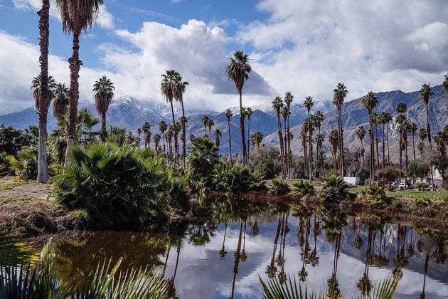 Embora a renaturalização de um campo de golfe possa decepcionar os jogadores, ela pode trazer grandes benefícios para os animais, as plantas e as pessoas.Algumas centenas de quilômetros ao sul de San Geronimo, em um trecho de terra de propriedade da Universidade da Califórnia, em Santa Bárbara, a área de 64 acres que antes abrigava o campo de golfe Ocean Meadows agora é um estuário cercado por pastagens, pântanos salgados e ilhas de vegetação rasteira costeira
