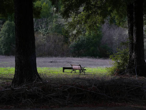 Aliado às pressões de desenvolvimento, esse excesso de oferta fez com que mais campos de golfe fossem fechados do que abertos desde 2006. O retorno à natureza, ou uma versão dela, ainda é uma relativa raridade para antigos campos de golfe, a maioria dos quais acaba nas mãos de incorporadores comerciais ou residenciais, de acordo com a Fundação Nacional de Golfe. Um exemplo recente foi um antigo campo de golfe de 36 buracos, em New Hampshire, que a Target comprou por quase US$ 122 milhões em 2023 para construir um novo centro de distribuição