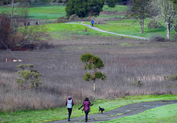 Um número pequeno de campos de golfe fechados em todo o país foi comprado por fundos imobiliários de terras, municípios e grupos sem fins lucrativos e transformado em reservas naturais, parques e zonas úmidas. Há locais assim em Detroit, na Pensilvânia, no Colorado, em Finger Lakes, no norte do estado de Nova York e pelo menos quatro na Califórnia