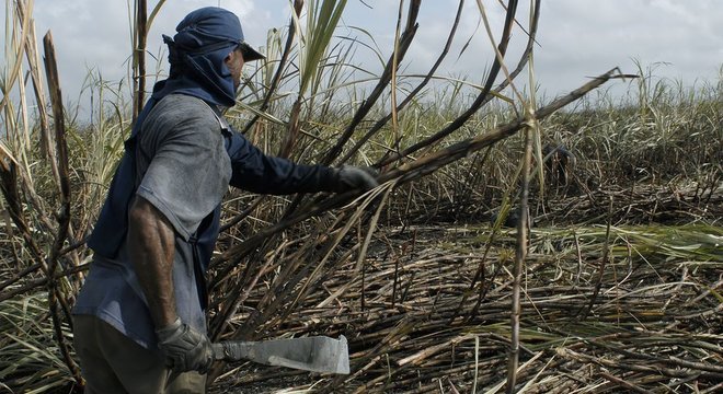 Setores que mais sofreriam com redu&ccedil;&atilde;o de exporta&ccedil;&otilde;es a pa&iacute;ses &aacute;rabes s&atilde;o a&ccedil;ucar, carne e frango, segundo a Associa&ccedil;&atilde;o de Com&eacute;rcio Exterior do Brasil