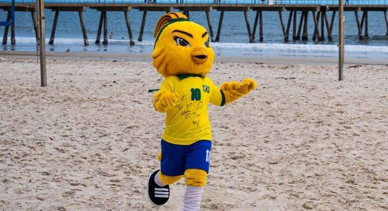 Os planos são de que a Canarinha acompanhe a seleção também após a Copa do Mundo. Os criadores não procuraram a CBF para tratar desse e de outros detalhes por causa da falta de tempo; o objetivo é a mascote ser um presente da torcida.Mas existe a possibilidade de, mais para a frente, ela se tornar a mascote oficial