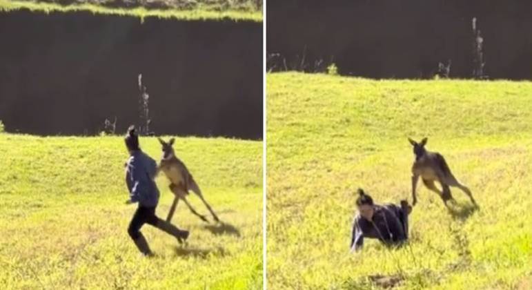 Turista tenta se aproximar de um canguru selvagem na Austrália e é atacada