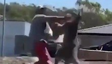 Homem é nocauteado por canguru ao tentar proteger filhos em quintal 