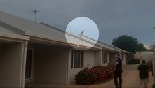 Ninguém sabe como um canguru foi parar no telhado dessa casa