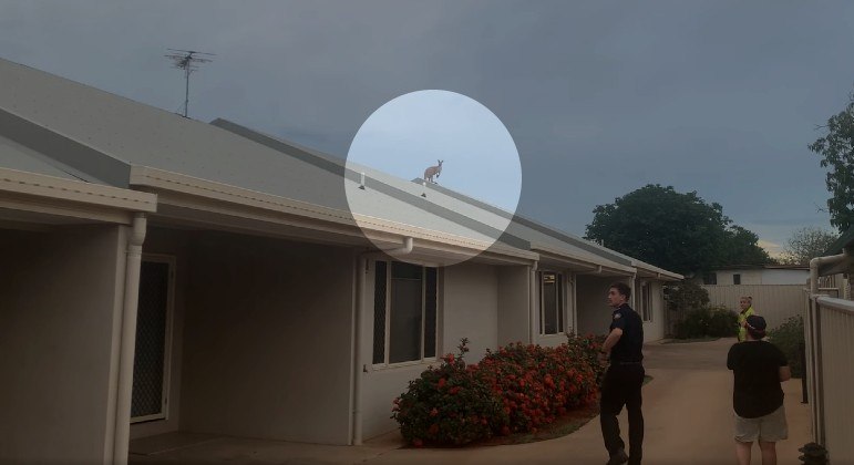 Canguru foi flagrado sobre o telhado de casa em Mount Isa, na Austrália
