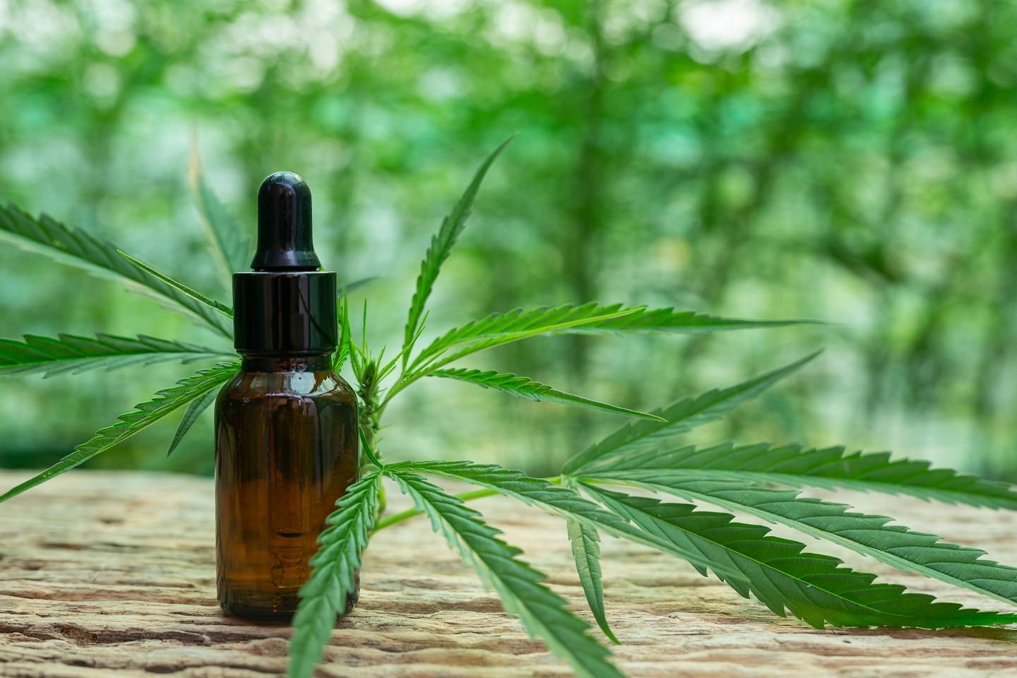 Anvisa libera três produtos à base de Cannabis