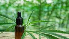 Anvisa autoriza venda no Brasil de novo produto à base de 'Cannabis'