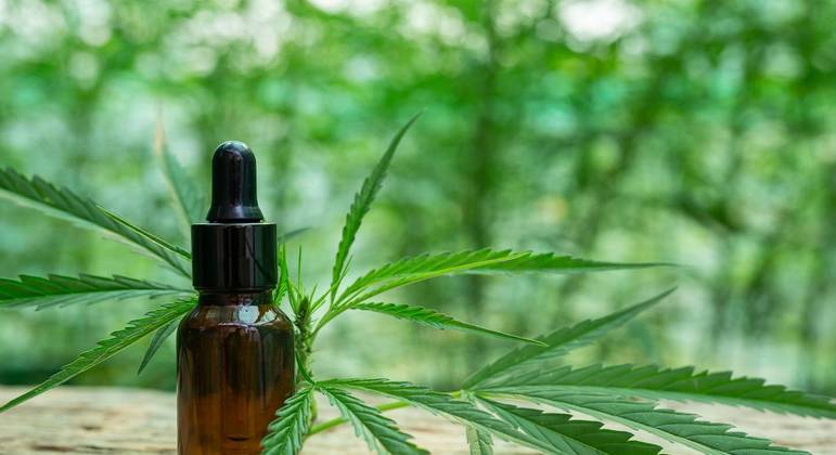 Anvisa aprova comercialização de oitavo produto à base de 'Cannabis'
