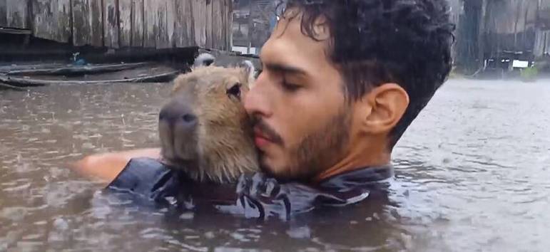 Vida em Miniatura: A capivara insistente