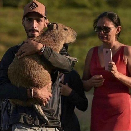 Vida em Miniatura: A capivara insistente