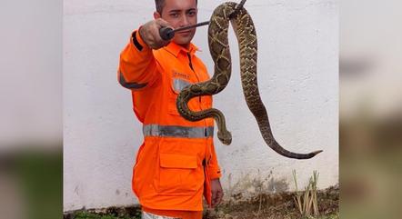 Serpente estava em frente à sala de aula 
