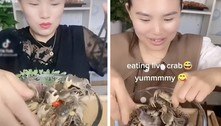 Pessoas comem caranguejos crus e geram polêmica intensa no TikTok