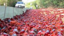 Milhões de caranguejos canibais fazem caminhada anual até o mar