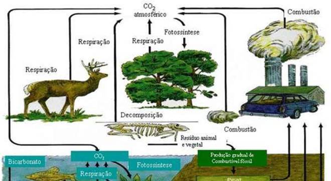 Carbono - O que é? Tudo sobre esse elemento químico