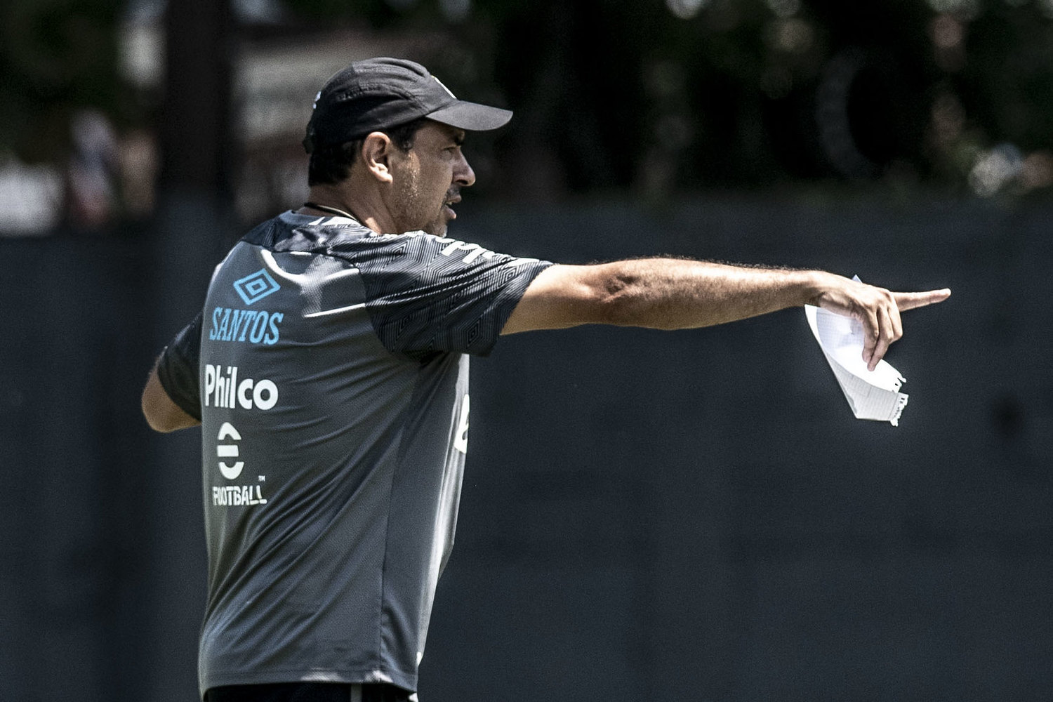 Santos confirma exame positivo do técnico Fábio Carille para Covid-19