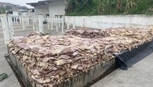 Polícia apreende mais de 4 toneladas de carne estragada em SP