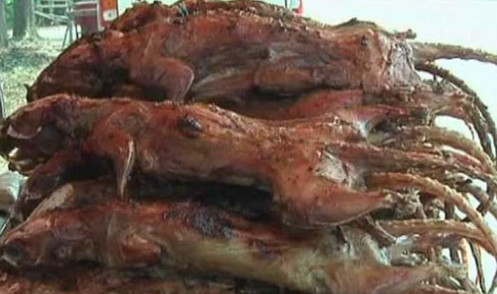 Carne de Rato - Comum no Laos, o animal é servido inteiro, frito, cozido ou assado. Ou pode ser oferecido em forma de picadinho. Os rabos, à milanesa, são comidos com palitinho. 