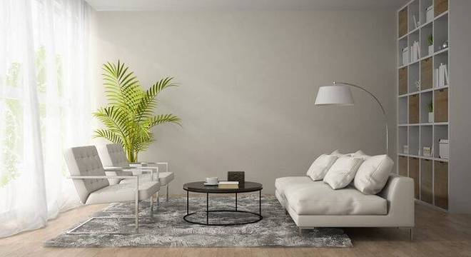 carpete de madeira sala de estar com planta