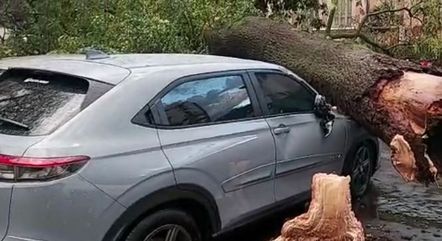 Carro estacionado foi 
atingido por árvore durante temporal