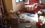 Além de lixo e fezes por todos os cantos, as instalações também apresentavam tigelas com carne crua estragada e até filhotes de gato mortos